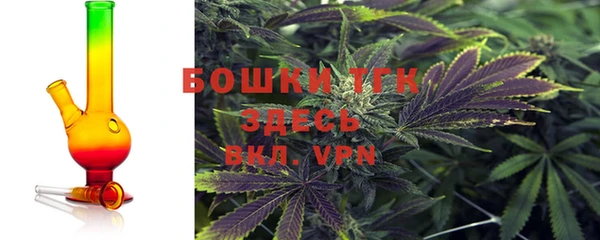 шишки Покров