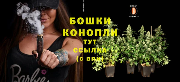 шишки Покров