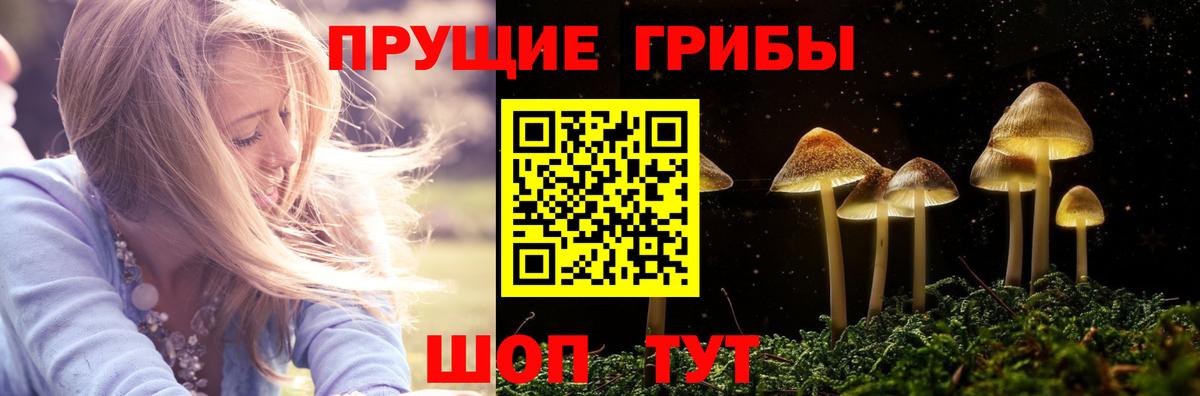 Фурманов  Галлюциногенные грибы прущие грибы  Вход с VPN 