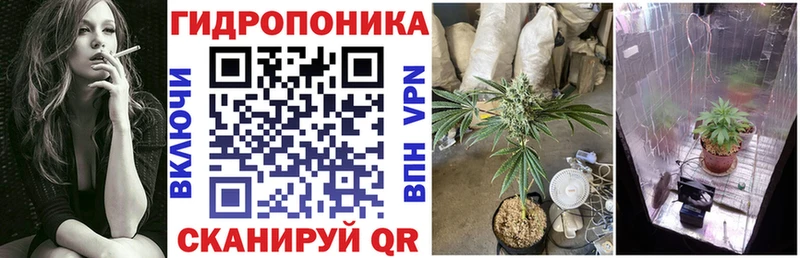 наркотики Фурманов Бошки Шишки семена